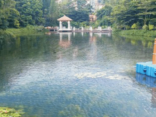 景观水生态修复