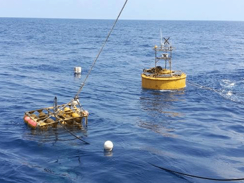 广东某海域综合气象水文水质监测浮标维护