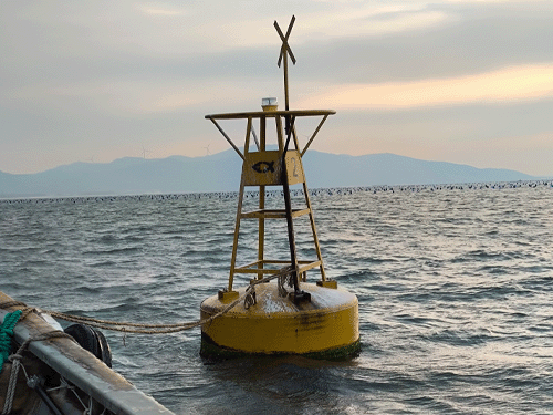 广东陆丰某海域专用浮标维护项目