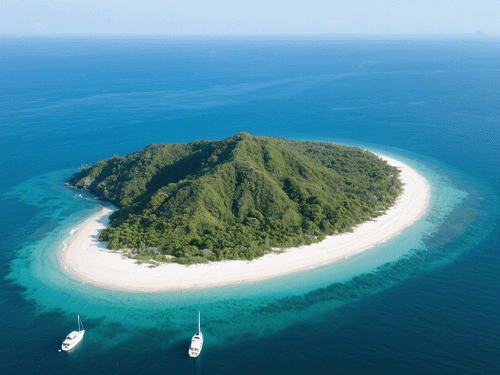 海岸海岛生态修复